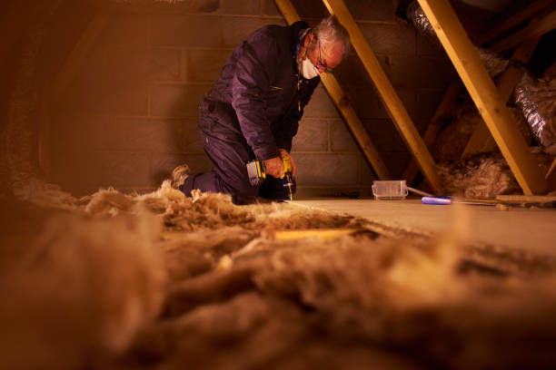 Reliable Eddyville, KY Insulation Solutions